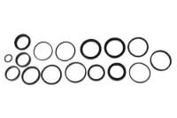 Picture of Miller Seal Kit IT27B Boom Lift Cylinder