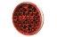 Picture of Maxxima 4" Round Red Stop / Tail / Turn Light w/ 32 LEDs