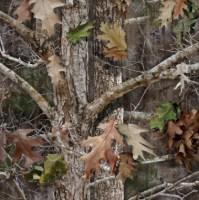 Picture of Tiger Tough 2009-2014 Ford F150 - Bucket Set