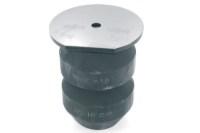 Picture of Timbren Rear Axle SES Suspension Upgrade Chevy Chrysler Dodge Hyundai Kia and Nissan