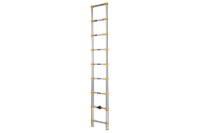Picture of Xtend+Climb Home Series Telescoping Ladder