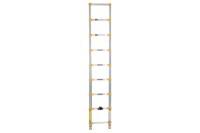 Picture of Xtend+Climb Home Series Telescoping Ladder