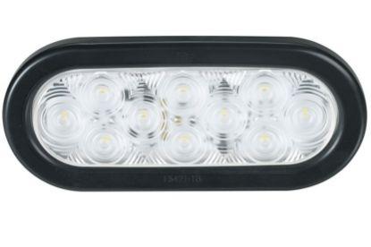 Picture of Federal Signal 6" Oval LED Reverse Light