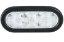 Picture of Federal Signal 6" Oval LED Reverse Light