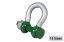 Picture of Green Pin Polar Bow Shackle with Safety Bolt