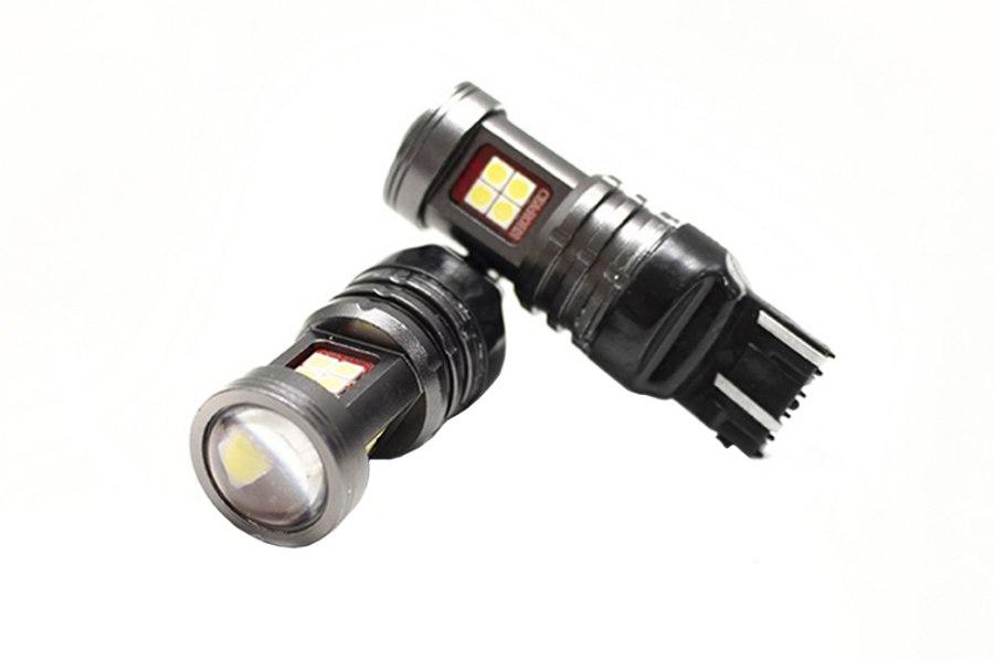 Picture of Race Sport Terminator Series WHITE LED Replacement Bulbs