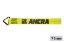 Picture of Ancra 4" Winch Strap w/ Delta Ring