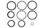 Picture of Miller Boom Extend Cylinder Seal Kit Century Challenger Holmes