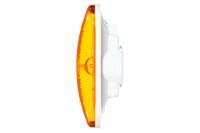 Picture of Truck-Lite Oval Vertical/Horizontal Rear Turn Signal