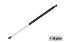 Picture of Allegis Corp. Metal End Gas Spring - 7" Stroke