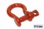 Picture of Crosby Anchor Shackle Screw Pin