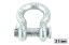 Picture of Ancra Clevis Pin Anchor Shackle