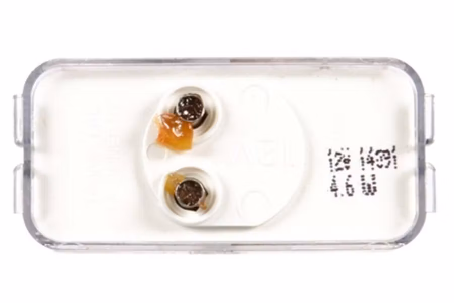 Picture of Truck-Lite Model 15 Clear License Plate Lamp