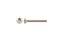 Picture of Phoenix Carriage Bolt 1/4" 20 x 1/2"