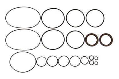 Picture of Seal Kit  Dp55313