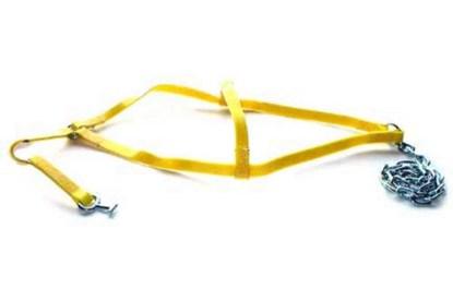 Picture of Zip's 1" Basket Strap, Century, Vinyl Coat, T-Hooks