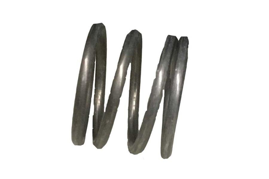 Picture of Spring Ramsey 494010