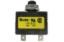 Picture of 30 Amp Circuit Protector