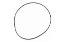 Picture of O-Ring