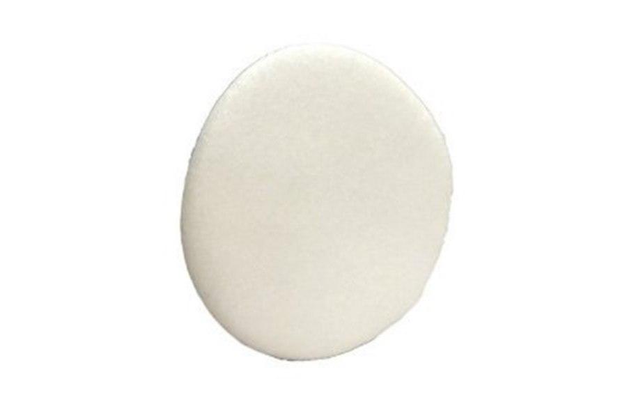 Picture of SAS Safety N95 Filter/Prefilter