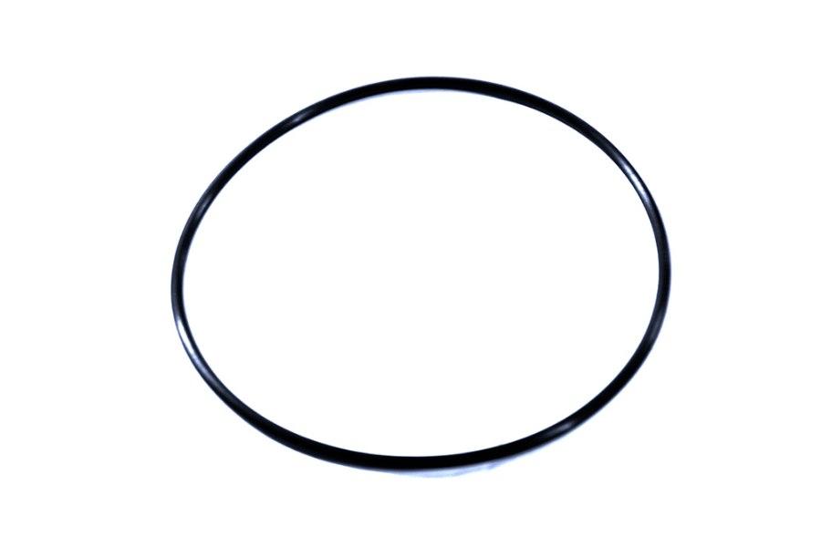 Picture of Replacement Filter O-Ring