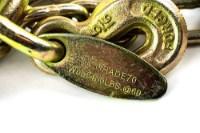 Picture of SafeAll V-Chain Assembly w/ 8" J Hook and MJ Hook