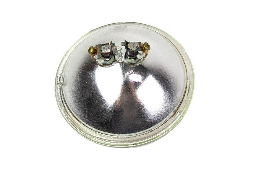 Picture of Edison Spot Lamp