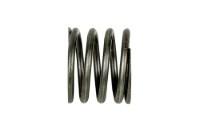 Picture of Ramsey Winch Replacement Spring Disc