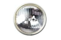 Picture of Edison Light Bulb