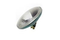 Picture of Edison Light Bulb