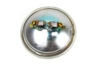 Picture of Edison Light Bulb