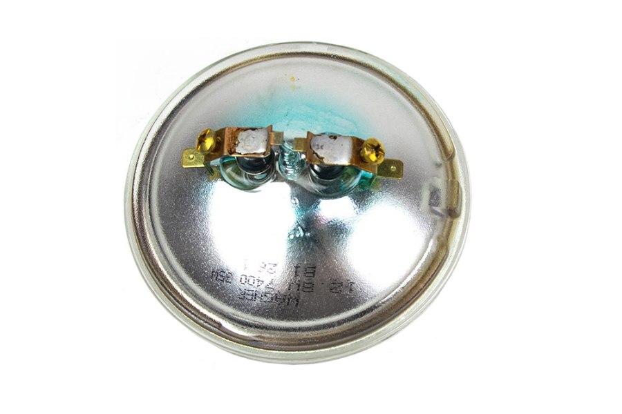 Picture of Edison Light Bulb