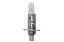 Picture of Hella +50  H1 Series Bulb