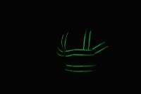 Picture of Alpha Workwear Class 3 Glow-in-the-Dark Classic Short Sleeve Safety Vest