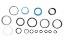 Picture of Seal Kit, ASHUN Cylinder 0303844