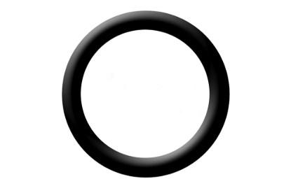 Picture of S.A.M. O-Ring New style pump