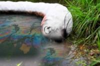 Picture of Spilfyter 10' Oil-Only Sorbent Boom Sock-In-Net