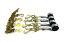 Picture of AW Direct 4-Point Tie-Down Kit, Cluster Straps and Ratchets with Snap Hooks