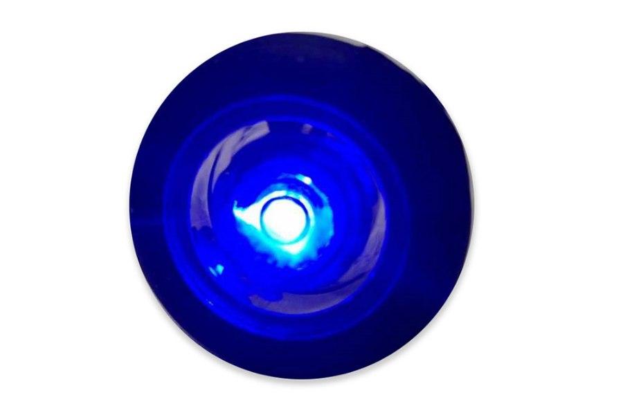 Picture of Race Sport Exterior Water Tight Courtesy LED Accent Lights