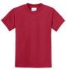 Picture of Port & Company Youth Core Blend T-Shirt