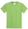 Picture of Port & Company Youth Core Blend T-Shirt