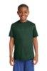 Picture of Sport-Tek Youth PosiCharge Competitor T-Shirt