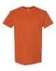 Picture of Gildan Heavy Cotton T-Shirt