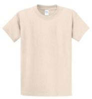 Picture of Port & Company Essential T-Shirt
