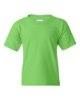 Picture of Gildan Heavy Cotton Youth T-Shirt