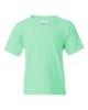 Picture of Gildan Heavy Cotton Youth T-Shirt
