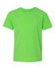Picture of Gildan Heavy Cotton Youth T-Shirt