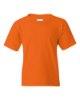 Picture of Gildan Heavy Cotton Youth T-Shirt
