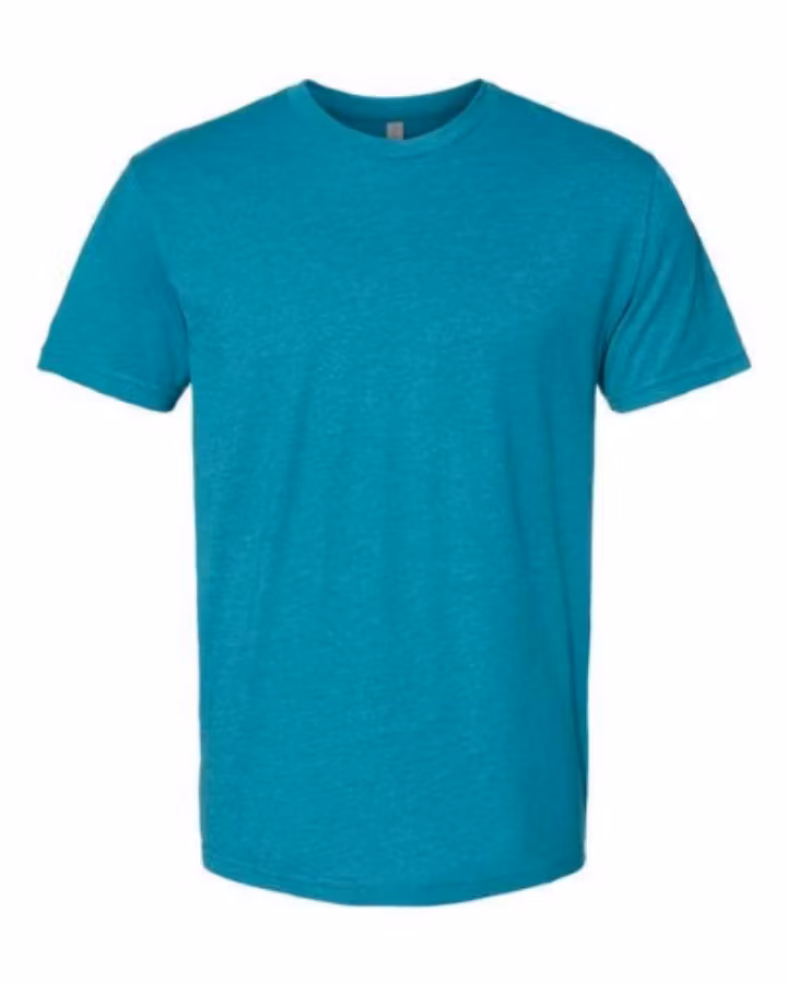 Picture of Next Level CVC T-Shirt