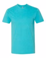 Picture of Next Level CVC T-Shirt